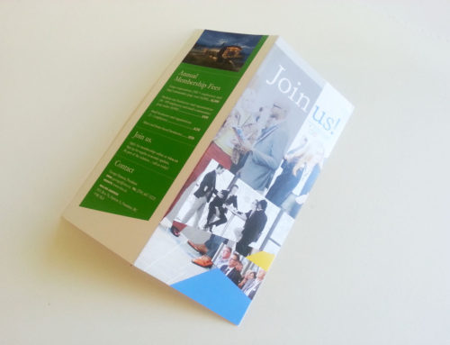 VIEA Brochure